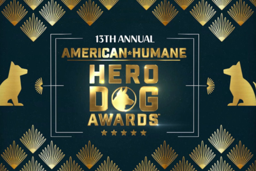 Hero Dog Awards